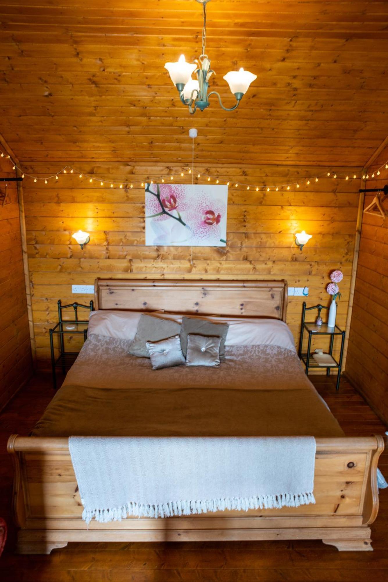 Blossom Cabin - Little Log Cabin In Wales Newtown  Exterior foto