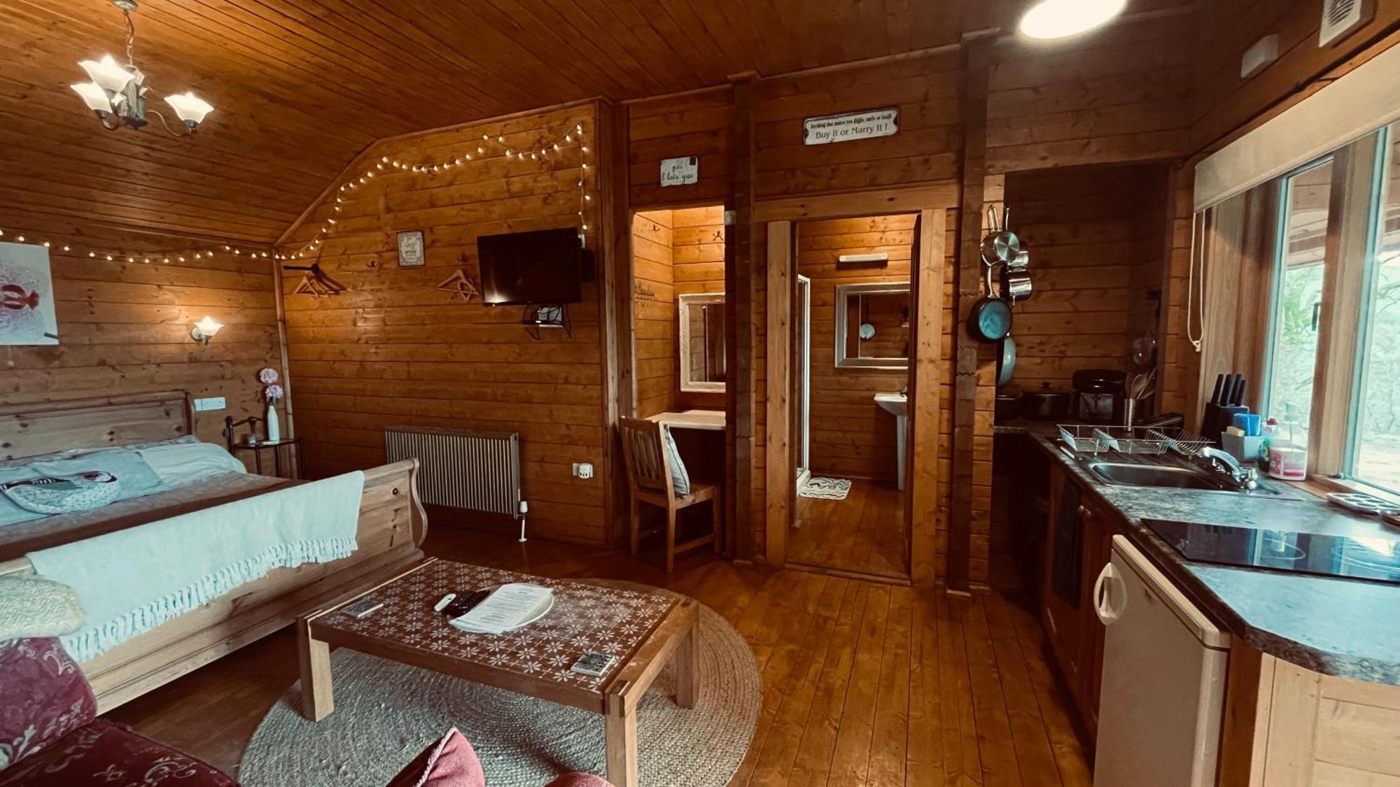 Blossom Cabin - Little Log Cabin In Wales Newtown  Exterior foto